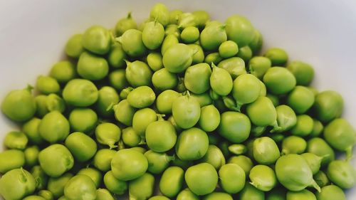 Close-up of green fruits