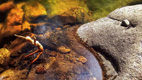 Rocks in water