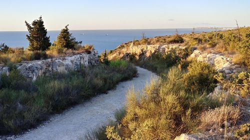 Scenic view of sea against clear sky