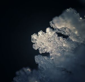 Close-up of water splashing against black background