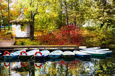 Plants by boats moored in lake during autumn