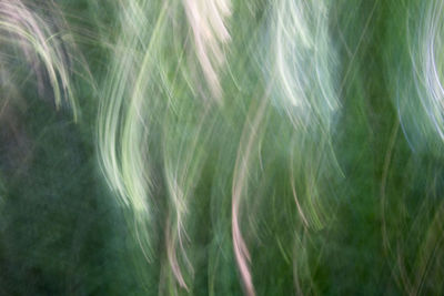 Defocused image of woman