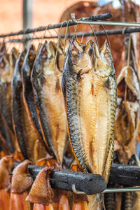 Hanging smoke-dried mackerels in a fish market smoked with hardwood wood chips in a smoker