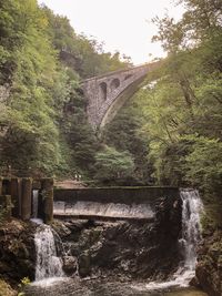 Arch bridge over river against trees