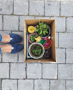 High angle view of food on floor