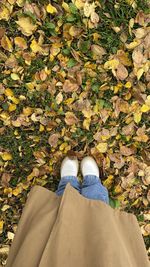 Low section of woman standing on autumn leaves