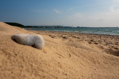 Scenic view of sea shore against sky