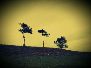 Scenic view of landscape against sky at sunset