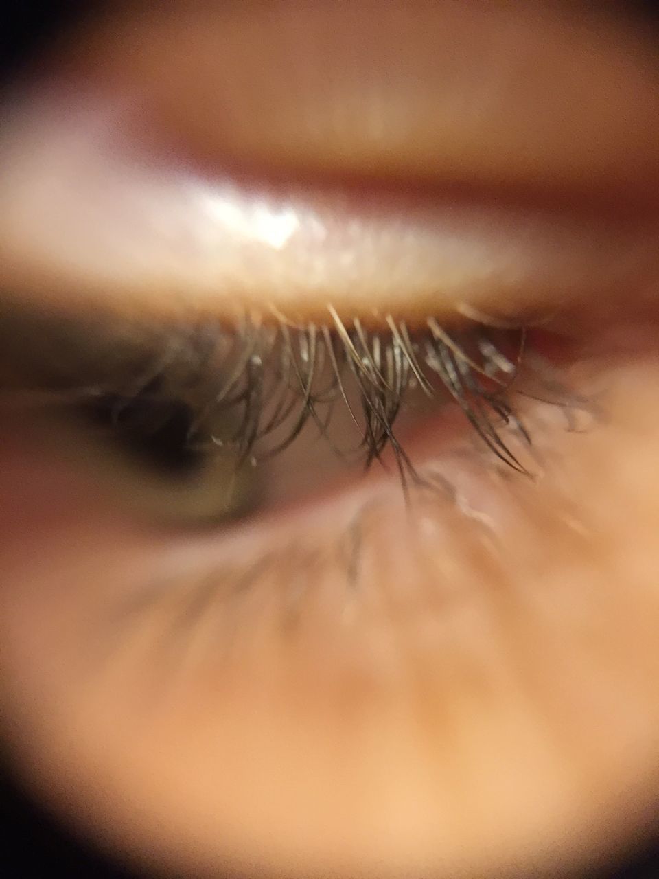 MACRO SHOT OF WOMAN EYE WITH HAIR