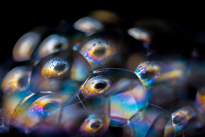 Close-up of bubbles