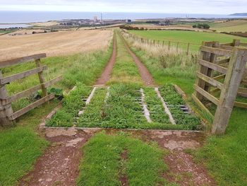Scenic view of agricultural field against sky