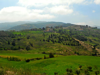 Scenic view of agricultural field against sky