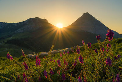 Scenic view of mountains against sky during sunset