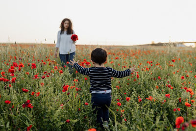 Rear view child on poppy field