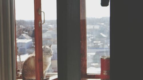 View of city through window
