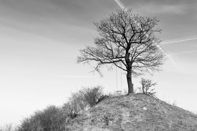 Bare tree on landscape against sky