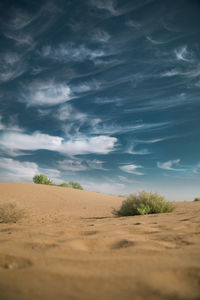 Surface level of desert against sky