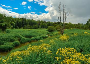 Scenic view of field against cloudy sky