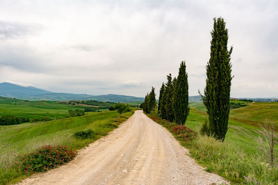 Dirt road along countryside landscape