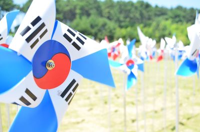 Close-up of pinwheel