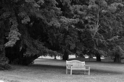 Empty bench in park