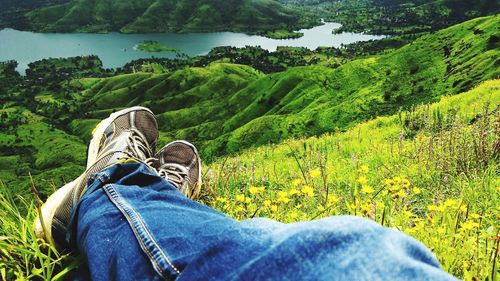 Low section of man wearing shoes on land