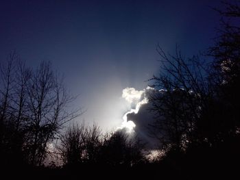 Low angle view of silhouette bare trees against sky at night