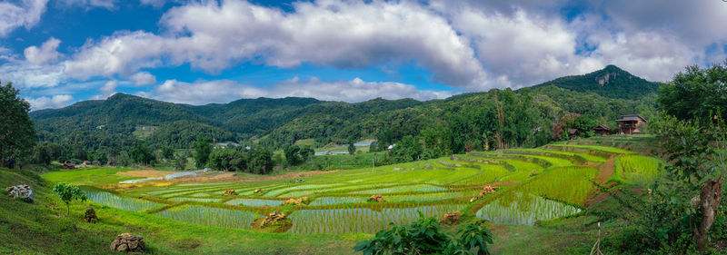 Panoramic view of agricultural field against sky