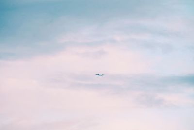 Low angle view of helicopter against sky