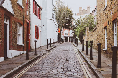 Empty alley amidst buildings in city