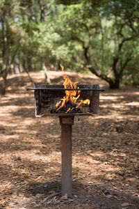 Coal burning in barbeque grill on field at park