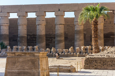 Karnak temple in luxor, egypt. row of sphinxes.