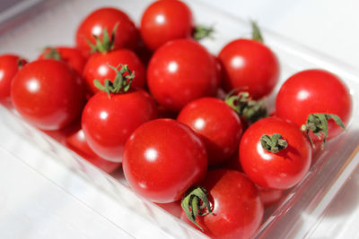 High angle view of tomatoes