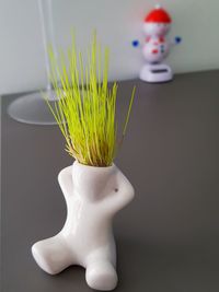 Close-up of vase against white background