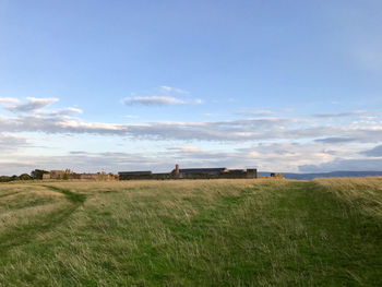 Scenic view of agricultural field against sky