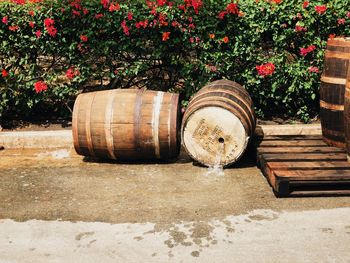 Close-up of red wine on wooden table by plants in park