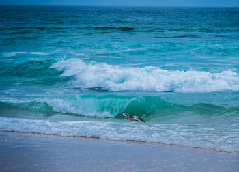 Person surfing in sea