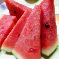 Close-up of served food