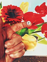 Close-up of hand holding red flower