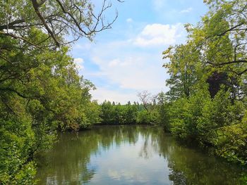 Scenic view of lake by trees against sky