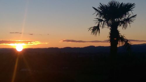 Silhouette of palm trees at sunset