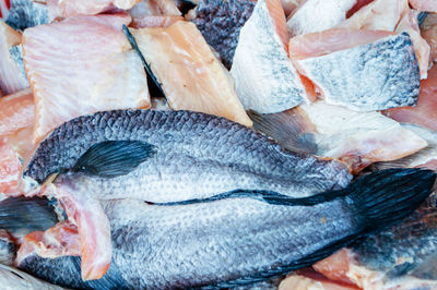 Close-up of fish for sale in market