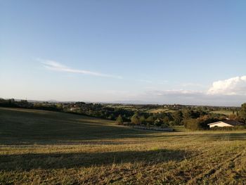 Scenic view of field against sky