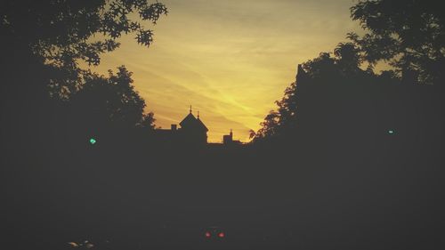 Silhouette of trees at sunset