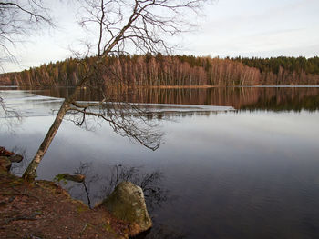 Scenic view of lake in forest against sky