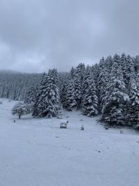 Scenic view of snow covered land against sky