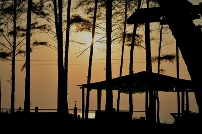 Silhouette trees on beach against sky during sunset