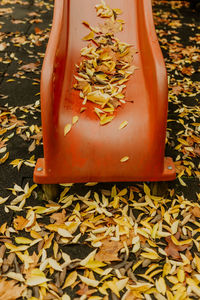 Low section of woman sitting on field