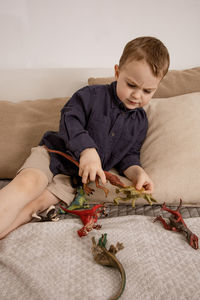 Little and cute caucasian boy playing with dinosaurs at home.