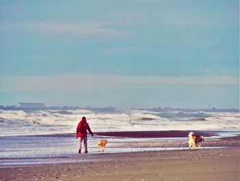 Man with dogs on beach